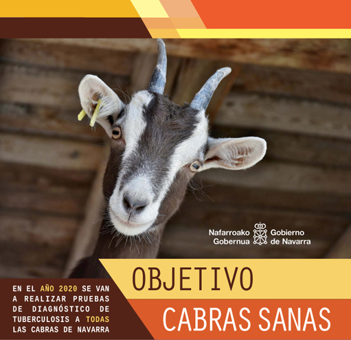 noti-cabras sanas