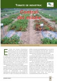 Tomate de industria: control de Mildiu