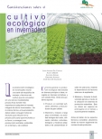 Cultivo ecológico en invernadero