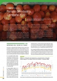 Tomate de industria. Campaña 2022