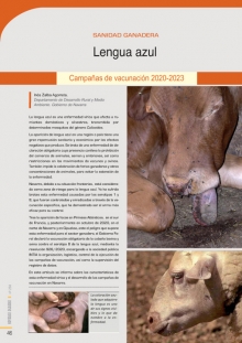 Ver artículo completo