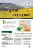 Pastos comunales de Navarra (España): Sorogain